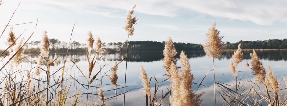 Badeseen im Wittelsbacher Land für sommerliche Tage