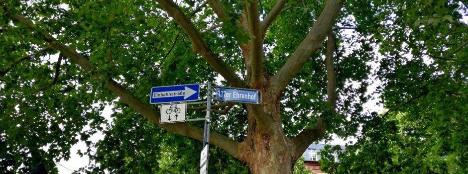 Frau lässt Stein auf Kopf von 13-Jährigem fallen