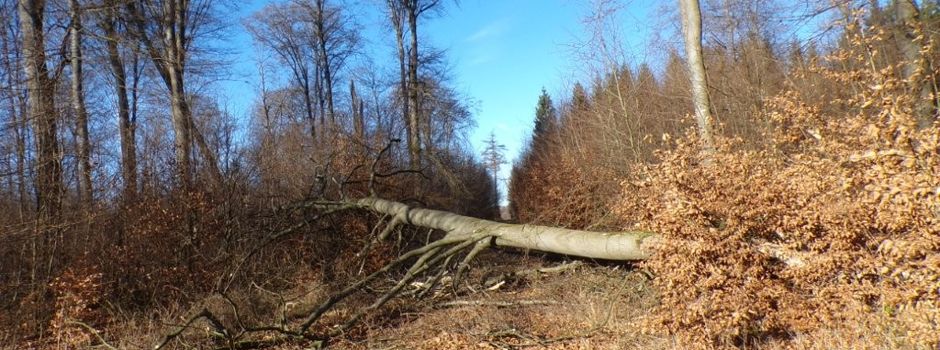 Stürmische Feiertage
