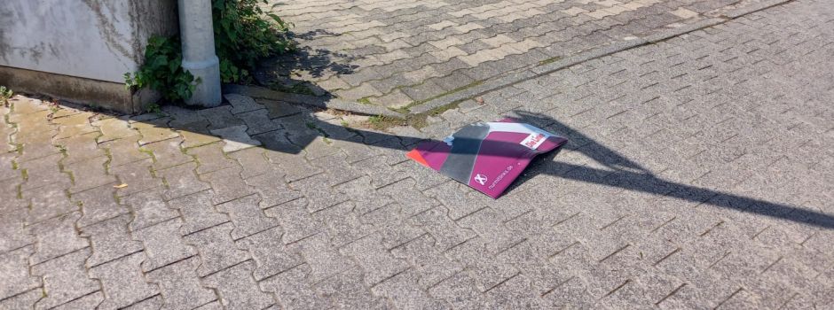 Angriffe und Beleidigungen: Das müssen Mainzer Wahl-Kandidaten aushalten