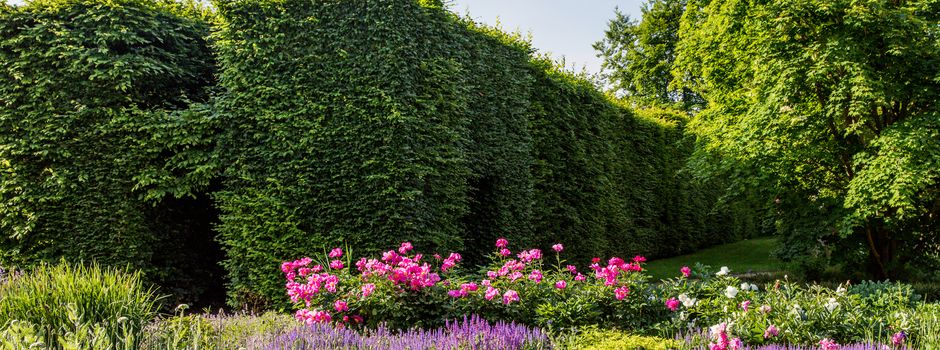 Radtour des Heimatvereins Clarholz zum Botanischen Garten - Gütersloh