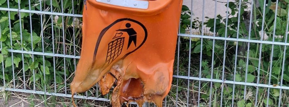 Vandalismus in Grundschulen