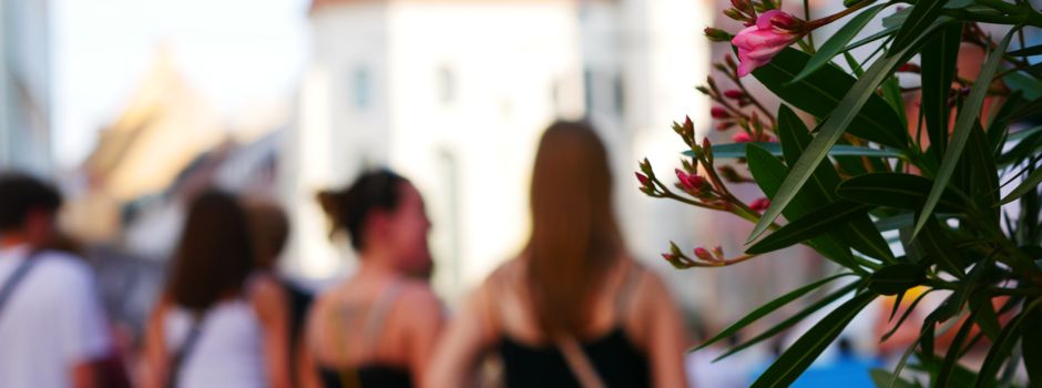 Auf diese Augsburger Sommer-Events freuen wir uns jetzt schon