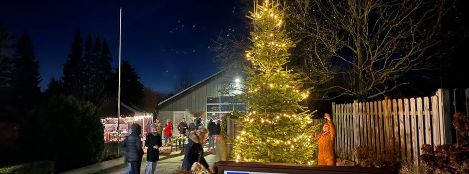Punschen unterm Tannenbaum