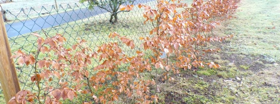 Was draus geworden ist!