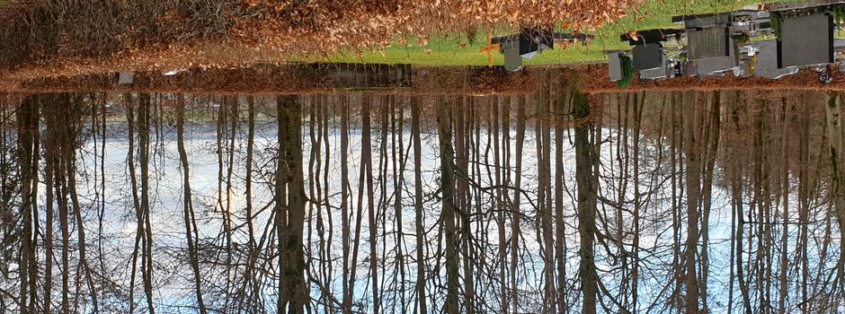 Bericht zur Gemeinderatsitzung am 23.01.2025