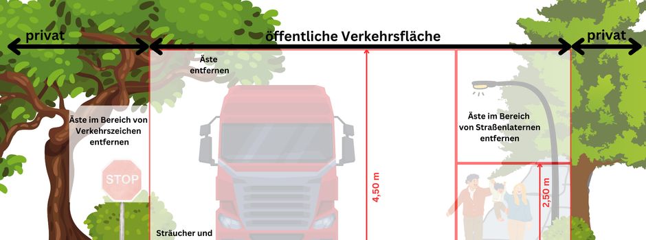 Baumkontrolle - Vorgaben für Privatpersonen