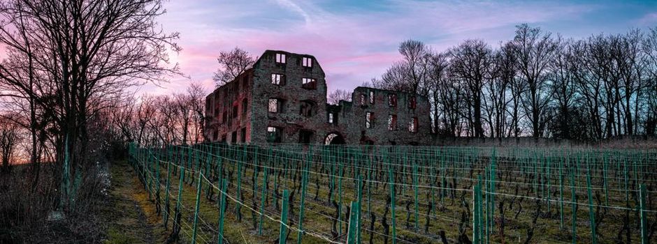 Das erwartet euch bei der „Magic Night“ in Oppeneheim