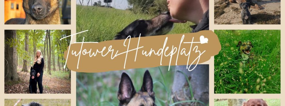Schlüsselübergabe für den Hundeplatz