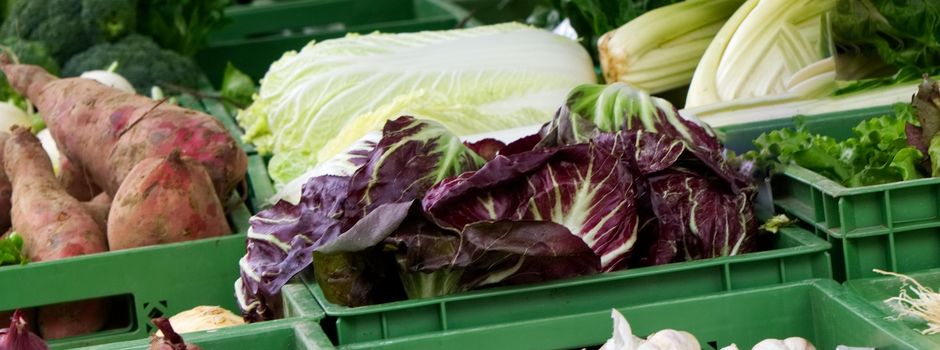 Samstags-Wochenmarkt in Mölln – Hinweise zu Erreichbarkeit und Feiertagen