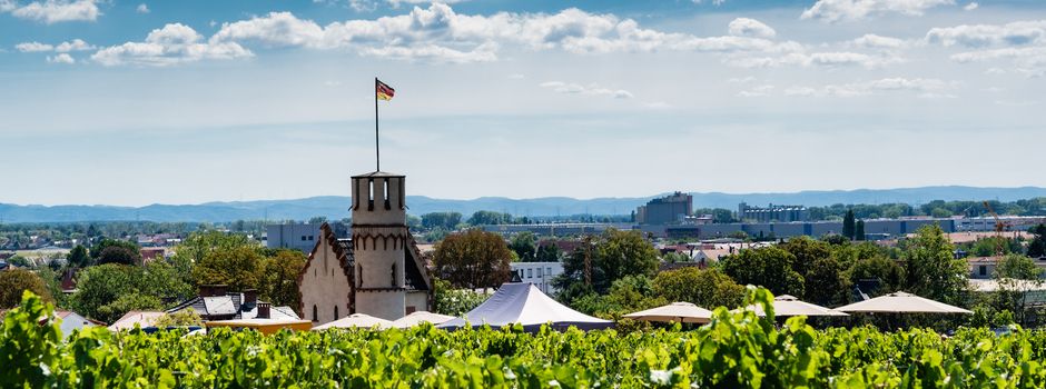 WeinTreiben – kurze Wanderung, langer Genuss