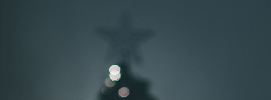 ABSAGE: Weihnachtsbaumverkauf am 13.12.2025