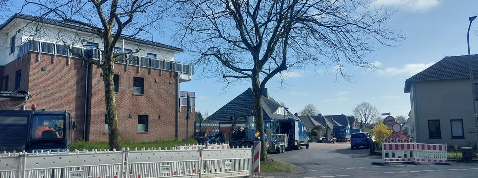 Erneuerung der Trinkwasserversorgung erfordert Baumfällung