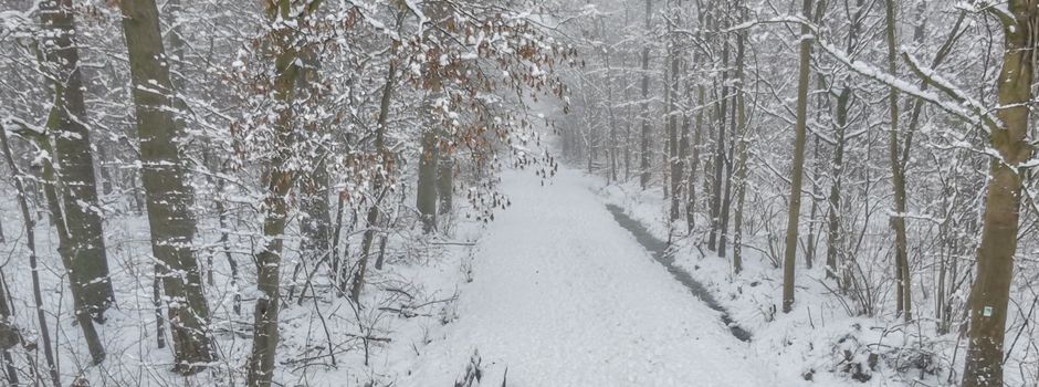 Winterdienst, Nebel, Rosenmontag: Ein Blick auf den Schneetag