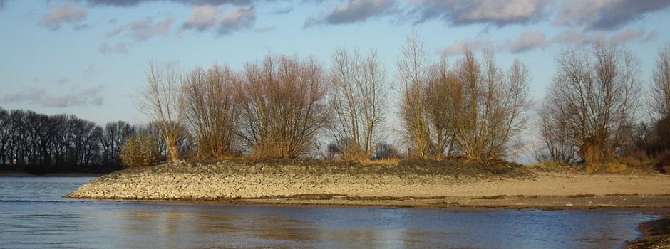 Vermisster (55) aus Worms tot aufgefunden