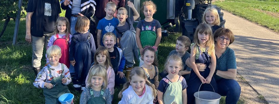 Ein erlebnisreicher Tag im Wingert - Vorschulkinder der Kita „Die kleinen Strolche" beim Herbsten