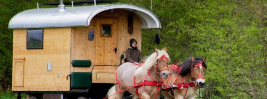 MIT ACHT HUFEN, VIER PFOTEN, ZWEI FÜßEN UND VIER RÄDERN QUER DURCH MECKLENBURG-VORPOMMERN