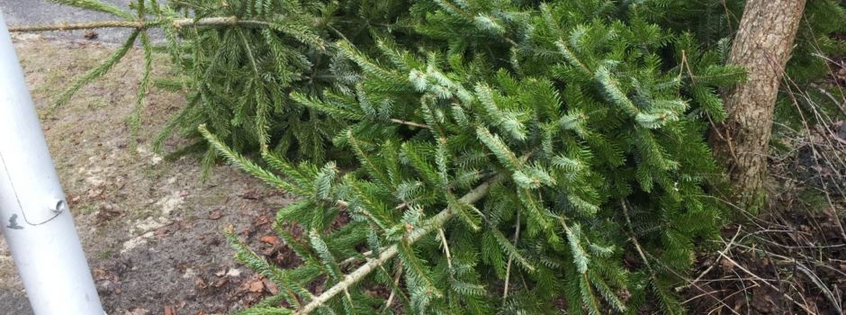 Tannenbaum-Sammelaktion am 14. Januar