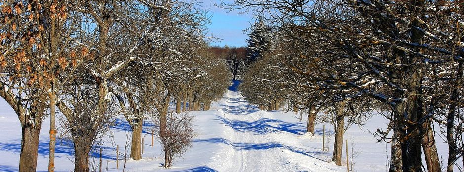 Winterwanderung der FFW Sunzendorf