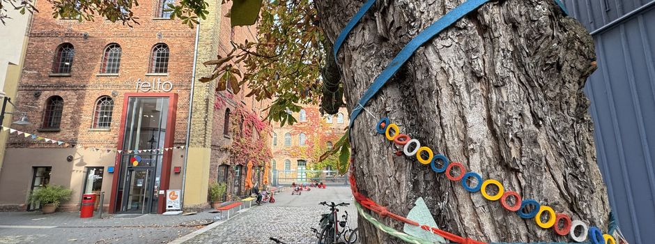 „night@felto“ – eine Nacht im Museum