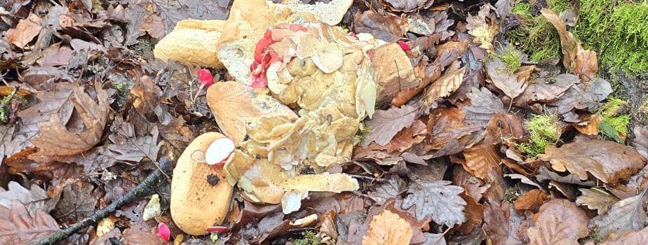 Lebensmittel im Wald ausgelegt
