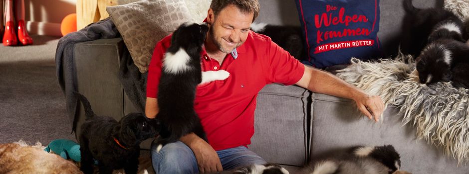 Mainzer Hund wird zum Star in Vox-Show