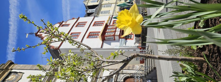 Schon entdeckt? Essbare und nachhaltige Bepflanzung in der Innenstadt