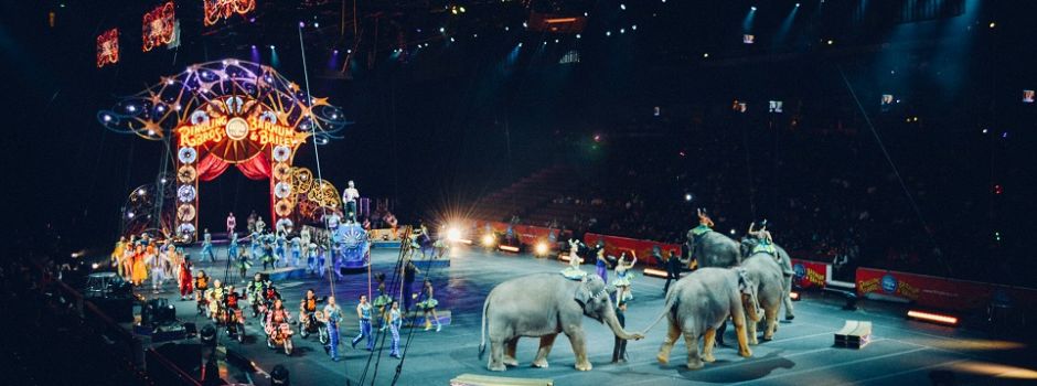 Moskauer Weihnachtszirkus musste in Augsburg fast seine Tiger abgeben