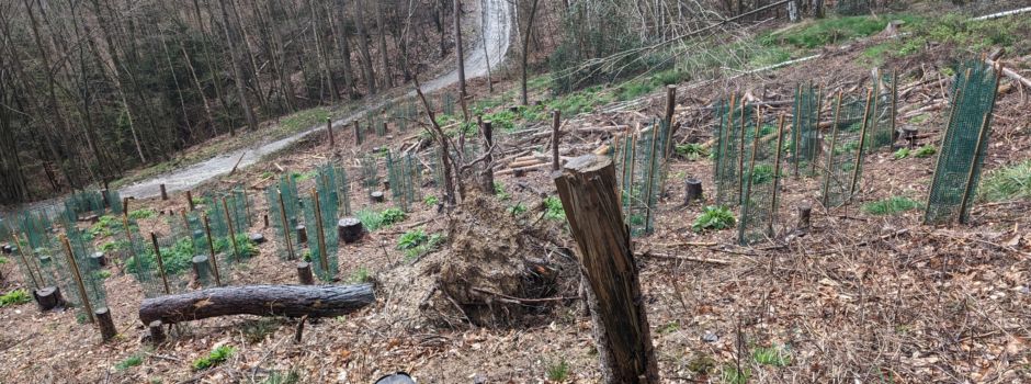 Waldbegehung am 23.03.2024 mit unserem Revierförster Nassen