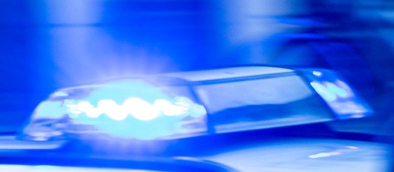 Ausgebüxte Kühe legen Verkehr auf der A3 im Westerwaldkreis lahm