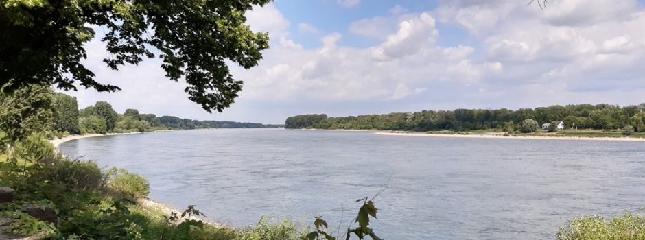 Getötete 15-Jährige in Worms: Polizei erhofft sich neue Erkenntnisse