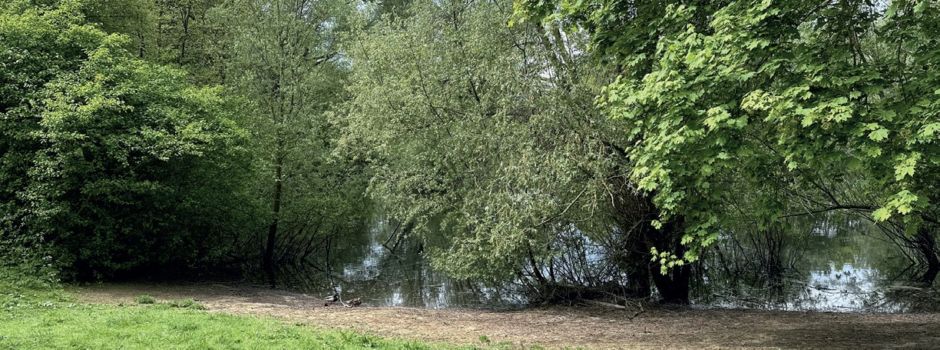 See in Mainz-Hechtsheim wird eingezäunt