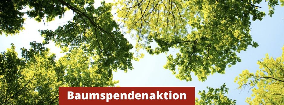 Fürs Klima: Baumspenden-Aktion "Mehr Bäume in Niederkassel"