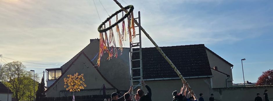 Maibaumaufstellen in Hillersleben Dorf: Frühlingstradition in Westheide