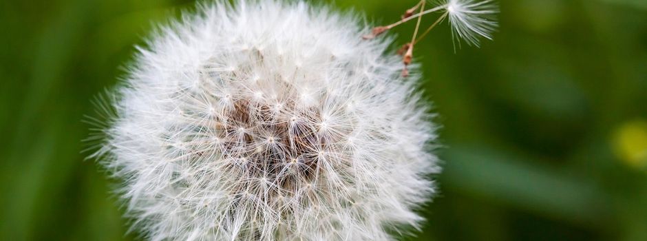 Neujahrsgruß des Bürgermeisters