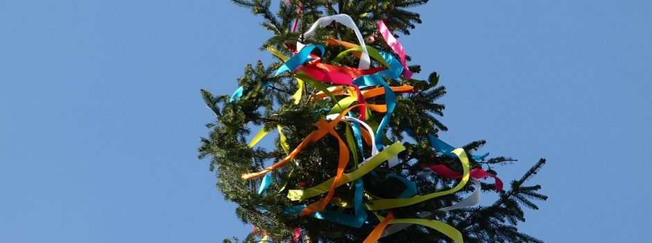 Maibaum stellen am Dorfplatz