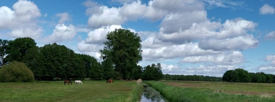 Das ist unser Redefin!