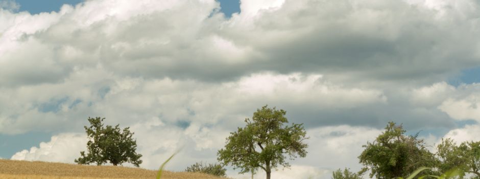 Vorstellung Wandergruppe Hausbay