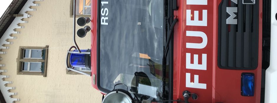 Mutprobe im Rhein - Oppenheim und Nierstein