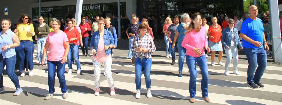 Workshops für Einsteiger