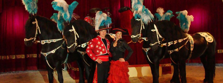 Demo gegen Wiesbadener Weihnachtszirkus