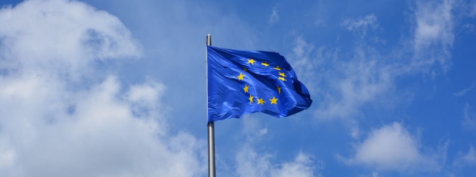 Europawahl 2024