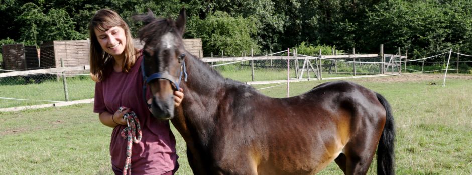 Mondorfer „Ponyinsel“ verlässt Niederkassel