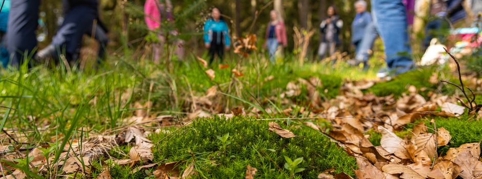 Premiumwanderweg „Felsenwald“: Umleitung wegen Forstarbeiten