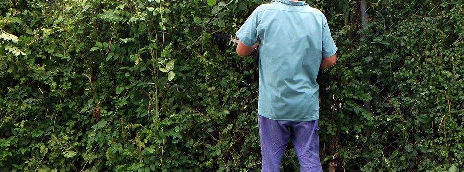 Vorankündigung Häckselplatz im Frühjahr 2024 geöffnet