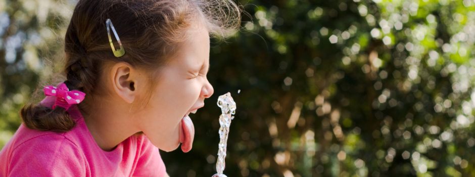 Qualität aus dem Hahn – Wie gut ist das Trinkwasser in Niederkassel?