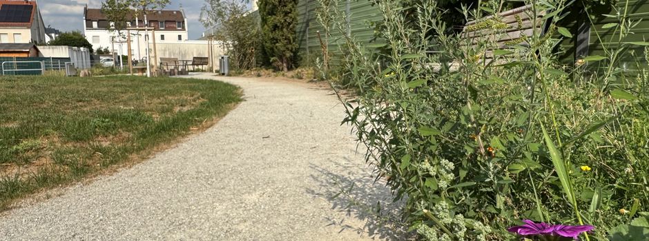 Neuer Park in Mainz-Mombach