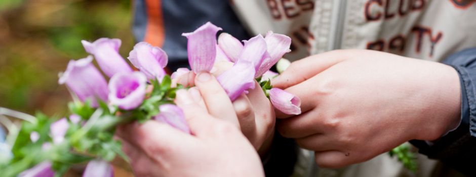 Survival-Abenteuer für Kinder