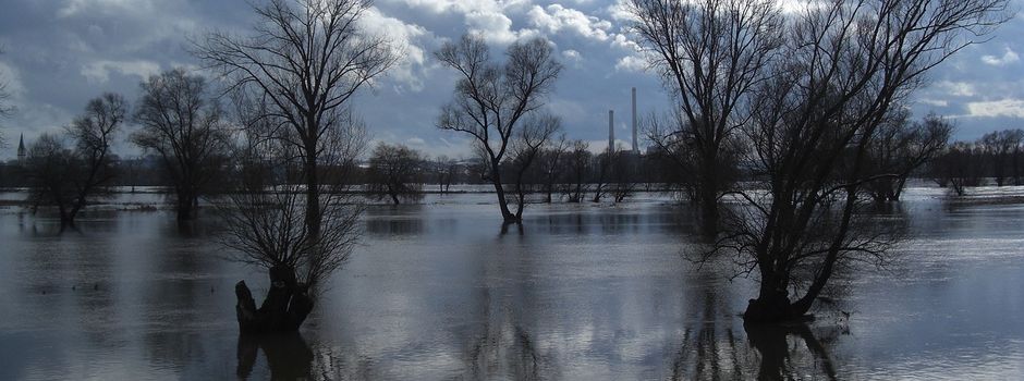 Aktuelle Hochwasserlage
