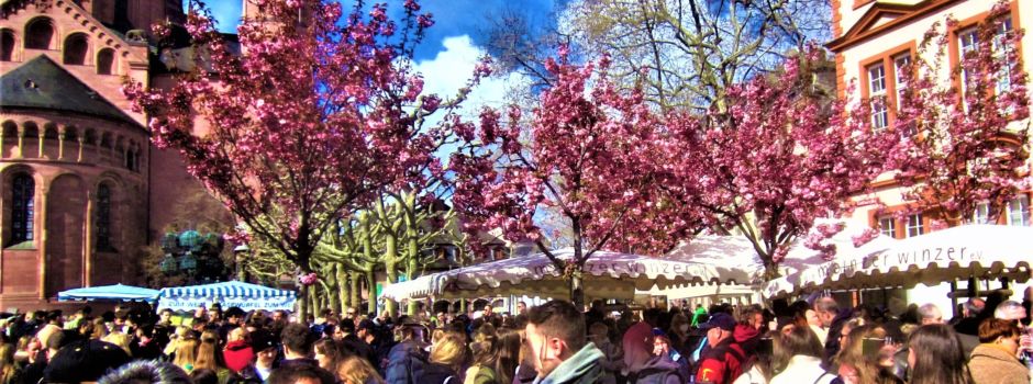 Mainzer Marktfrühstück: Tausende Besucher beim Auftakt dabei
